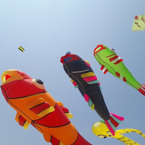 Color Inspiration - Kite Fest