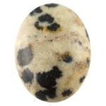 Dalmatian Jasper Cabochons