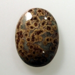 Turtle Jasper Cabochons