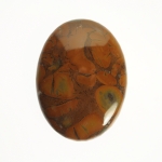 Bamboo Jasper Cabochons