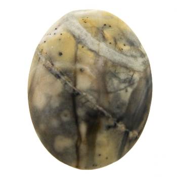 Picasso Jasper Cabochons