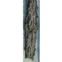 Gem Profile- Fulgurite