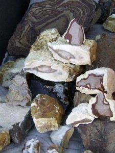 Dale Armstrong's Gem Profile- Picture Jasper - , General Education, , Rough Jasper