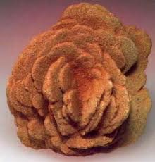 Judy Ellis's Gem Profile- Desert Rose - , General Education, , Barite  Rose