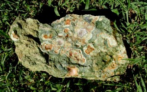 Dale Armstrong's Gem Profile- Patterned Jaspers - , General Education, , Rainforest Rough Jasper