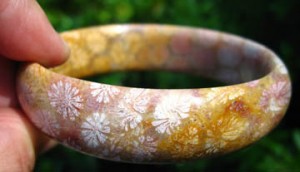 Judy Ellis's Gem Profile- Petoskey Stones and Indonesian Fossil Coral - , General Education, , Agatized Fossil Coral Agate Bangle