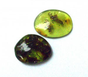 Dale Armstrong's Gem Profile- Amber - , General Education, , Green Amber