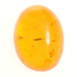 Dale Armstrong's Gem Profile- Amber - , General Education, , Synthetic Amber Cabochon