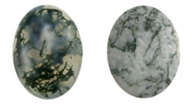 Judy Ellis's Gem Profile- Moss Agate and Plume Agate - , General Education, , Moss Agate and Tree Agate