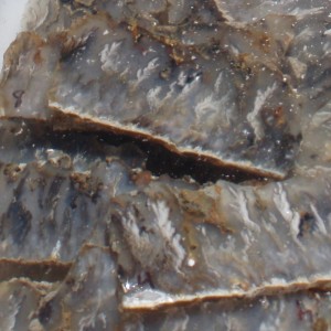 Judy Ellis's Gem Profile- Moss Agate and Plume Agate - , General Education, , Gravepoint Plume Agate