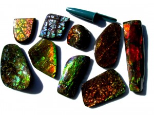 Dale Armstrong's Gem Profile- Ammolite - , General Education, , Freeform ammolite