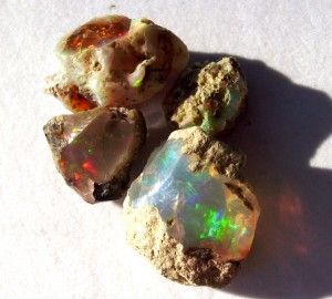 Dale Armstrong's Gem Profile- White Precious Opal - , General Education, , Rough Ethiopian Opals