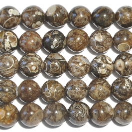 Turritella Agate 8mm Round Beads - 8 Inch Strand