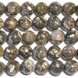 Turritella Agate10mm Round Beads - 8 Inch Strand