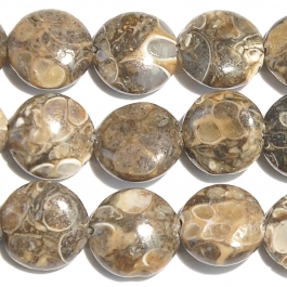 Turritella Agate 12mm Coin Beads - 8 Inch Strand