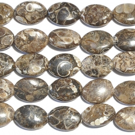 Turritella Agate 10x14mm Oval Beads - 8 Inch Strand