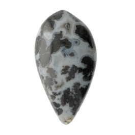 39X21mm Dendritc Agate